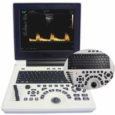 গুণ  12in LCD Display Veterinary Ultrasound Equipment For Large Animals FDA ISO কারখানা