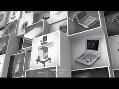 কোম্পানির প্রোফাইল